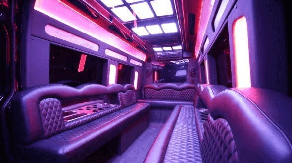 Shreveport 14 passenger sprinter limousine interior