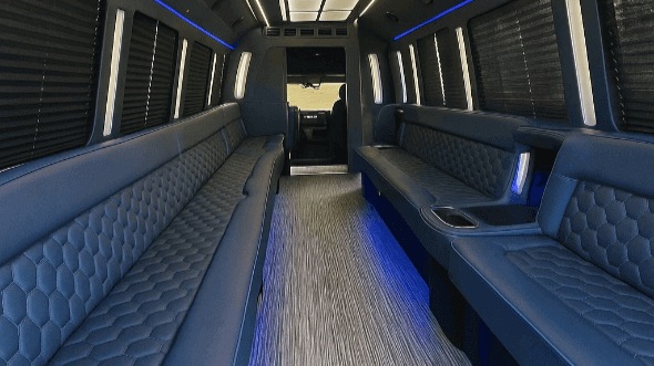 shreveport 20 passenger party bus interior